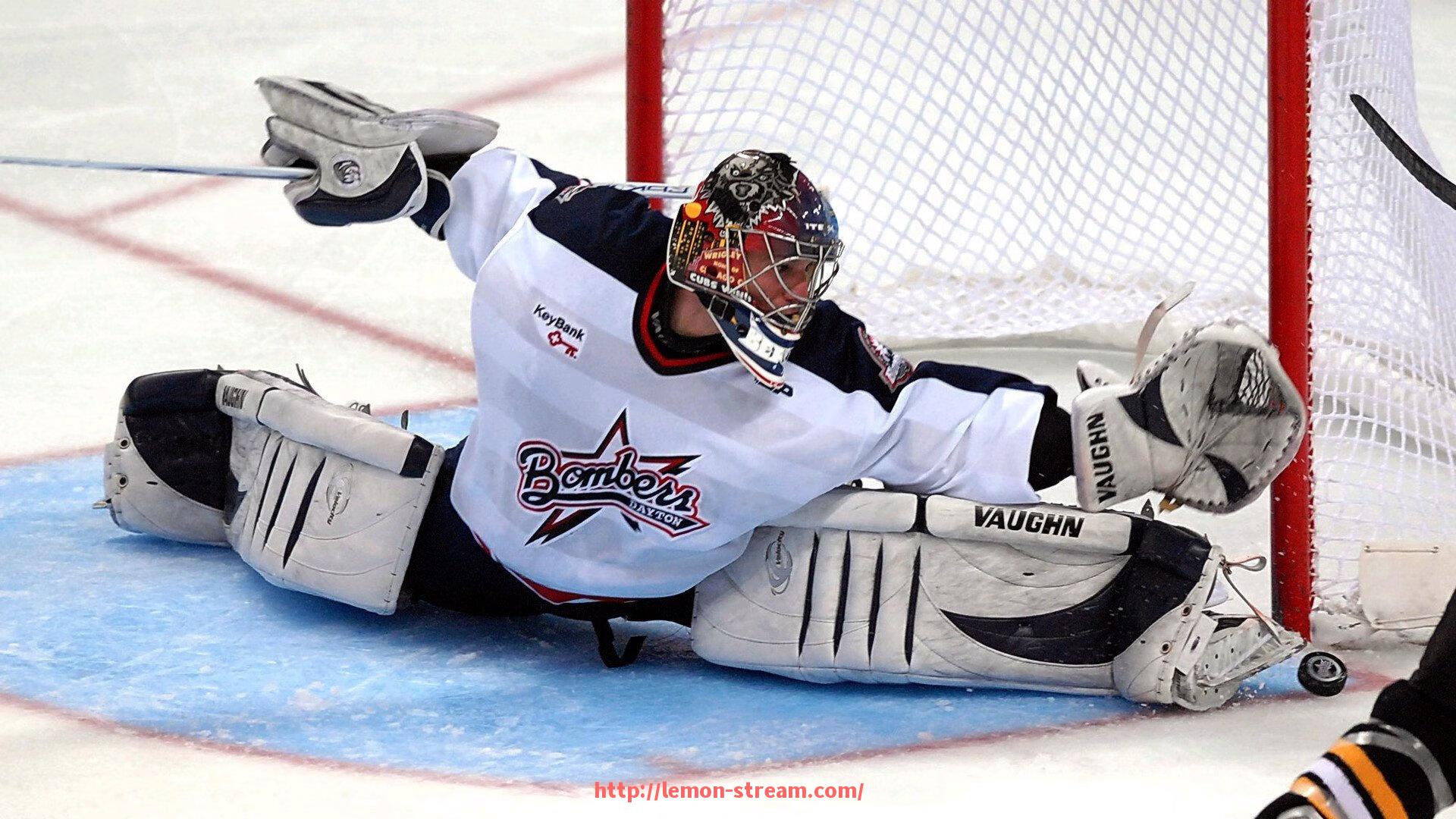 柠檬体育直播-法甲里昂球员名单的分析与阵容配置