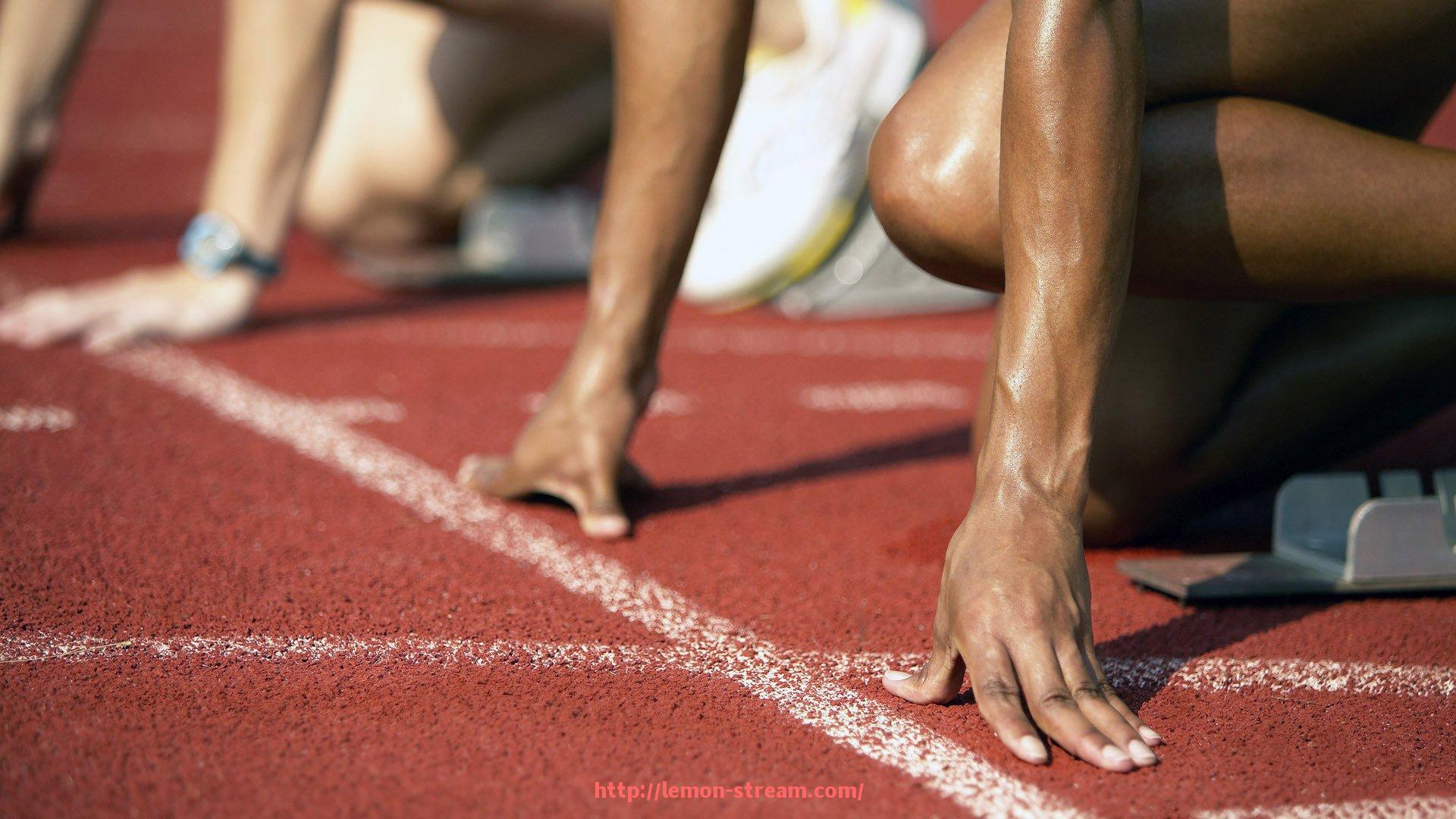 柠檬体育直播-世俱杯主办国收益分析及赛事经济贡献报告